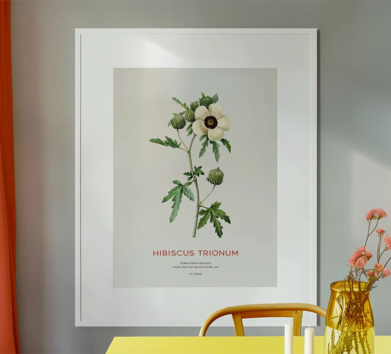 Venedig-Malve oder Hibiscus Trionum Blume Hahnemühle von Vintagrafica