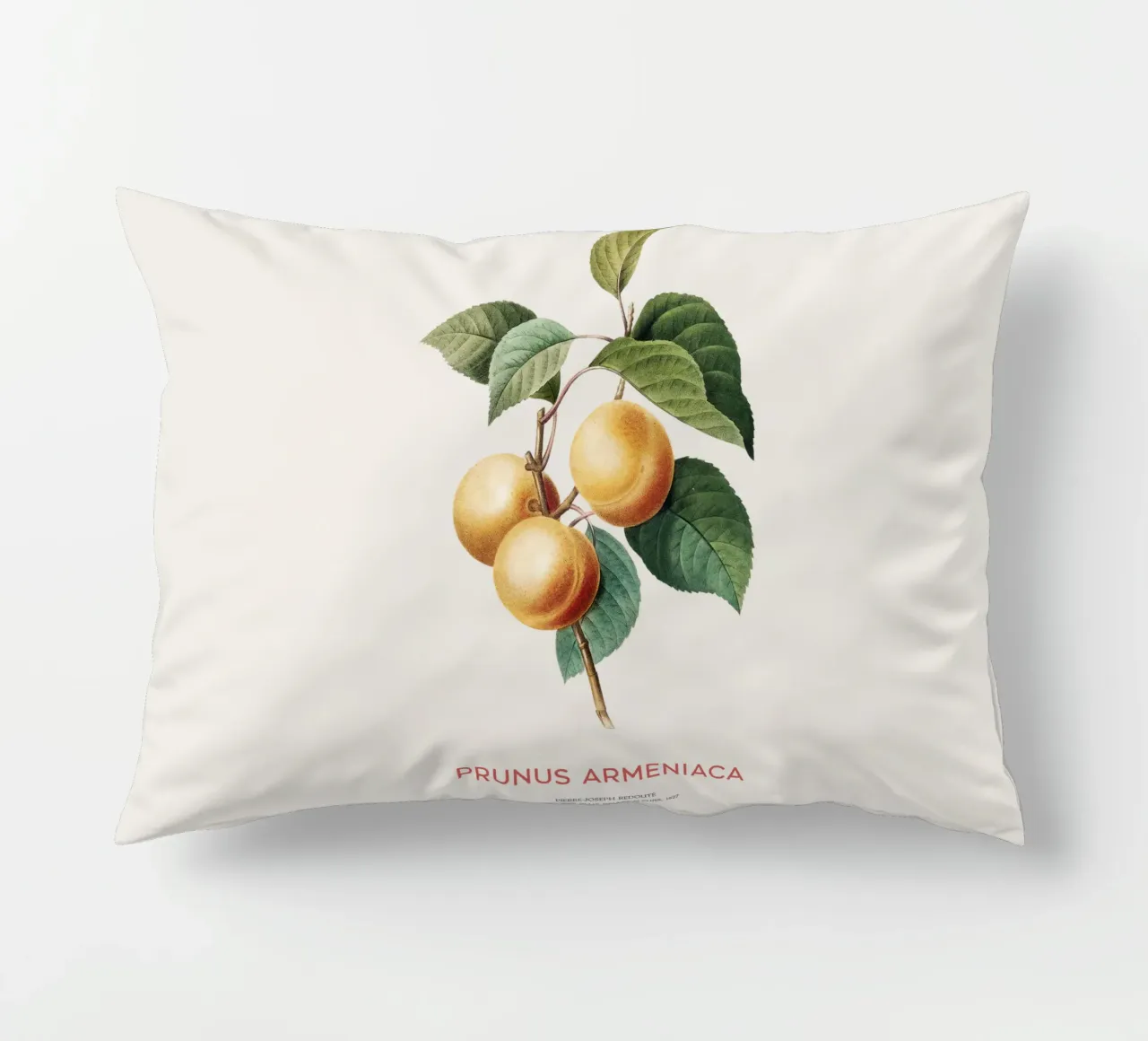 Apricot or Prunus Armeniaca tree branch decorative cushion by Vintagrafica