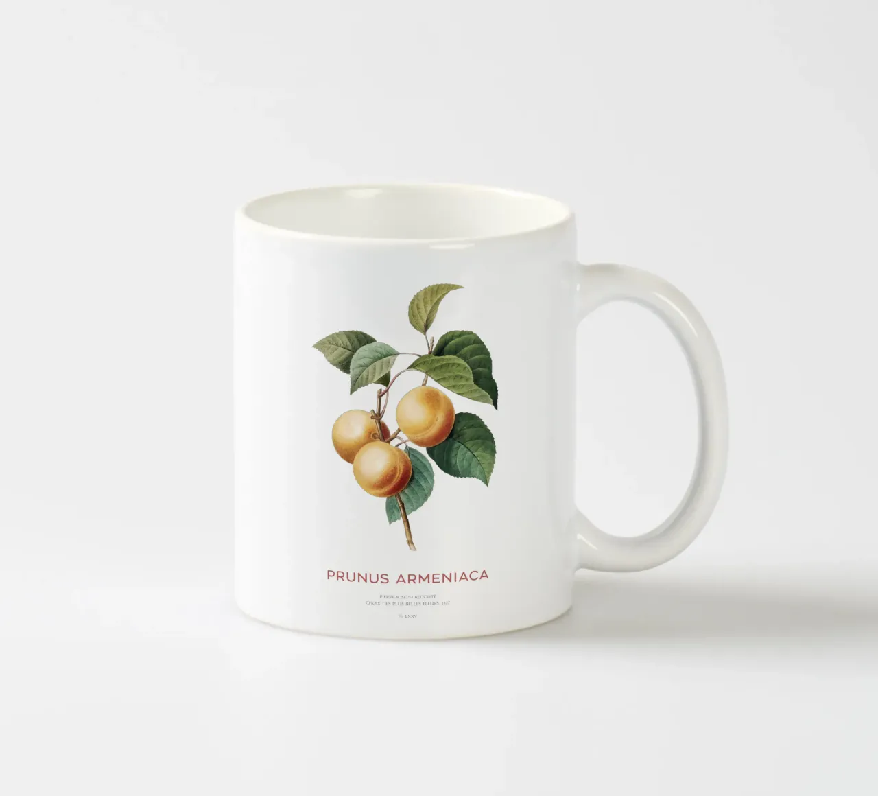 Apricot or Prunus Armeniaca tree branch ceramic mug by Vintagrafica