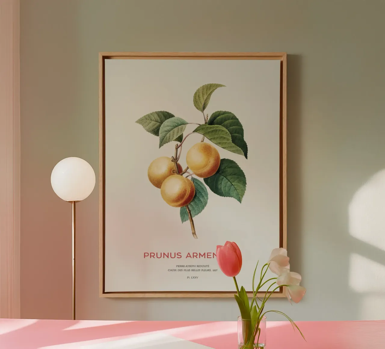 Apricot or Prunus Armeniaca tree branch canvas with Floater frame by Vintagrafica
