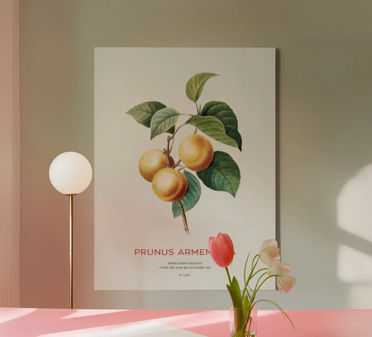 Apricot or Prunus Armeniaca tree branch canvas with Floater frame by Vintagrafica