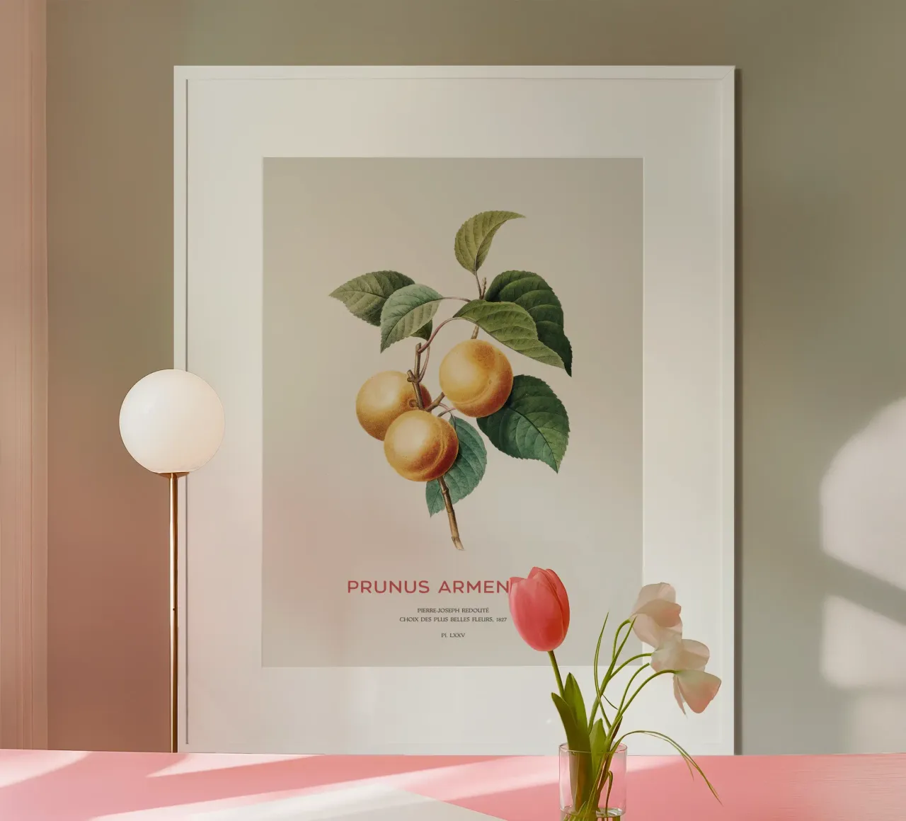 Apricot or Prunus Armeniaca tree branch poster by Vintagrafica