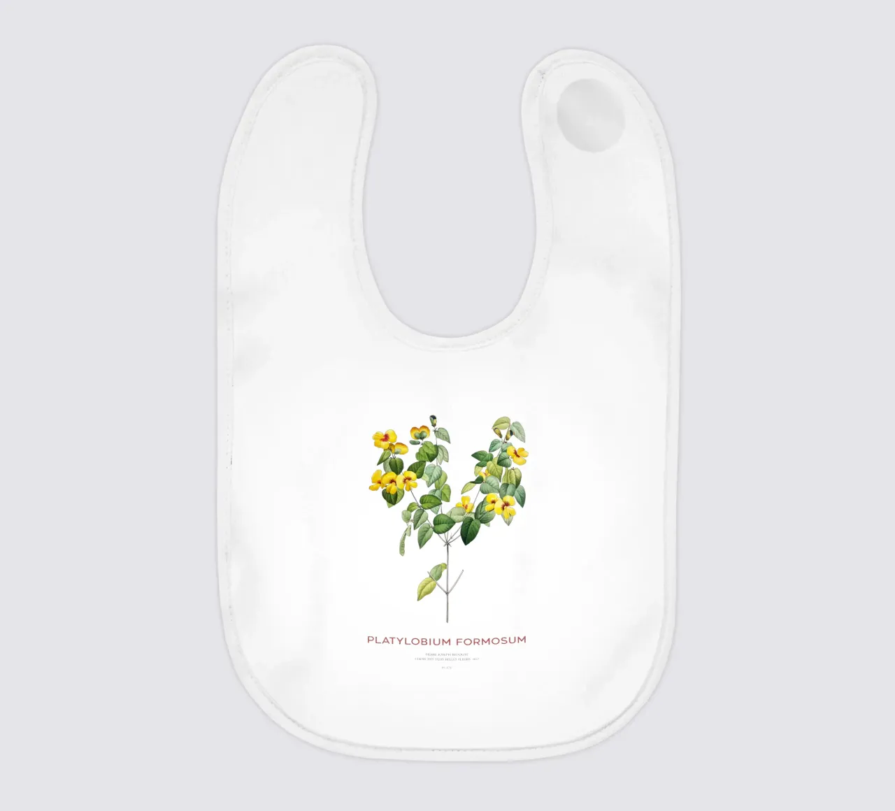 Hübsche flache Erbse oder Platylobium Formosum Pflanze Babylätzchen von Vintagrafica