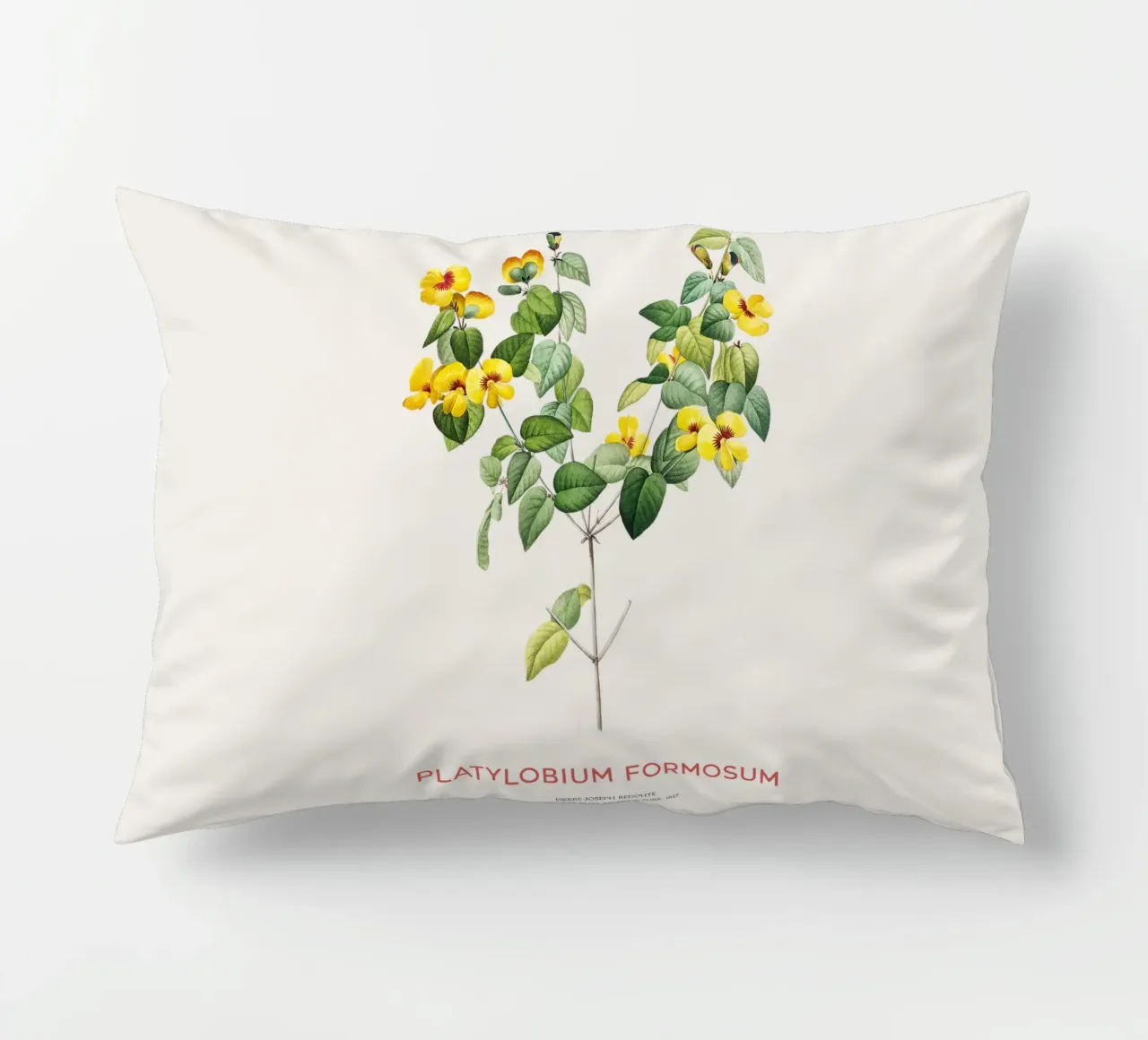 Bellissima pianta di pisello piatto o Platylobium Formosum cuscino da Vintagrafica