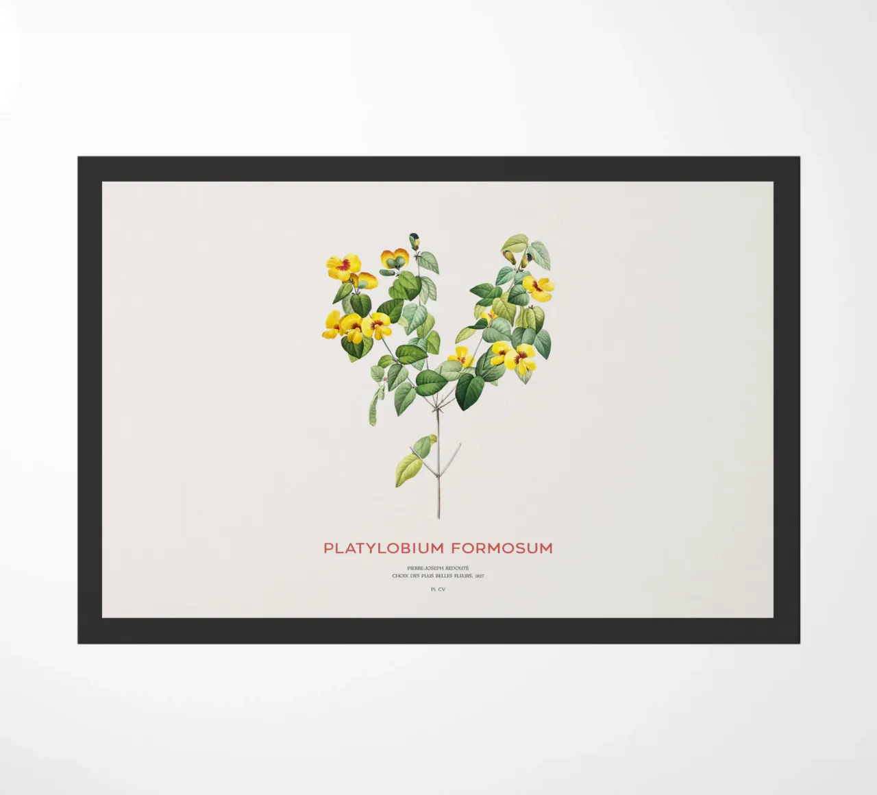 Hübsche flache Erbse oder Platylobium Formosum Pflanze Fußmatte von Vintagrafica