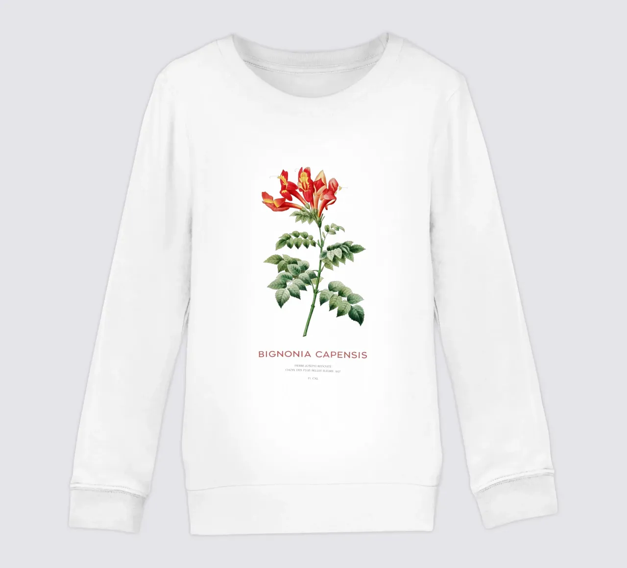 Bignonia Сapensis o fiore di caprifoglio del Capo felpa bambino da Vintagrafica