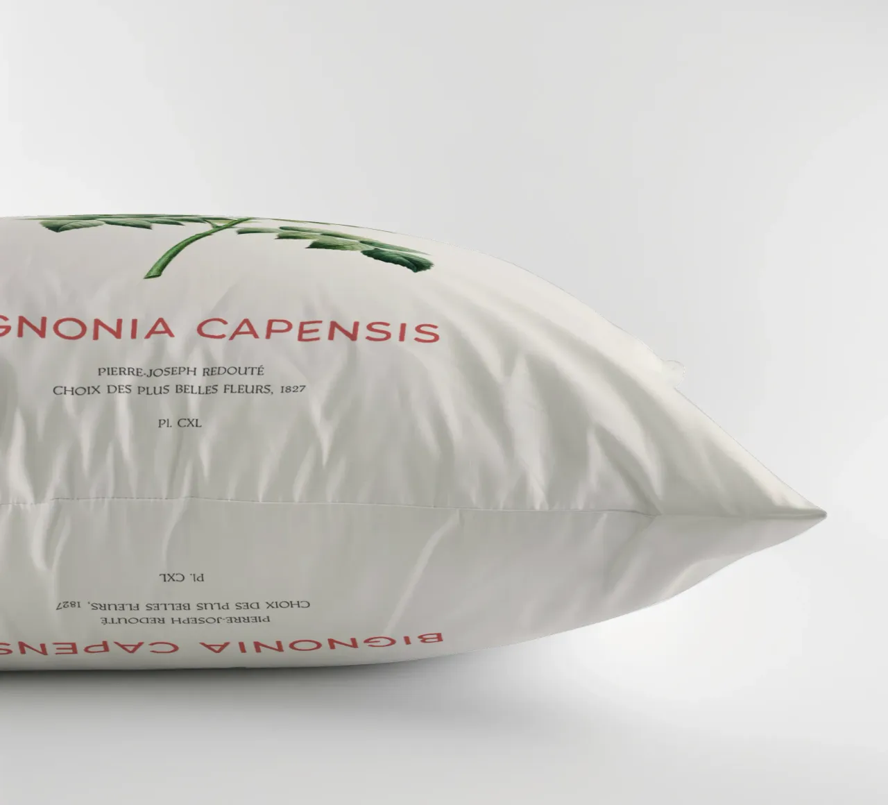Bignonia Сapensis o fiore di caprifoglio del Capo cuscino da Vintagrafica
