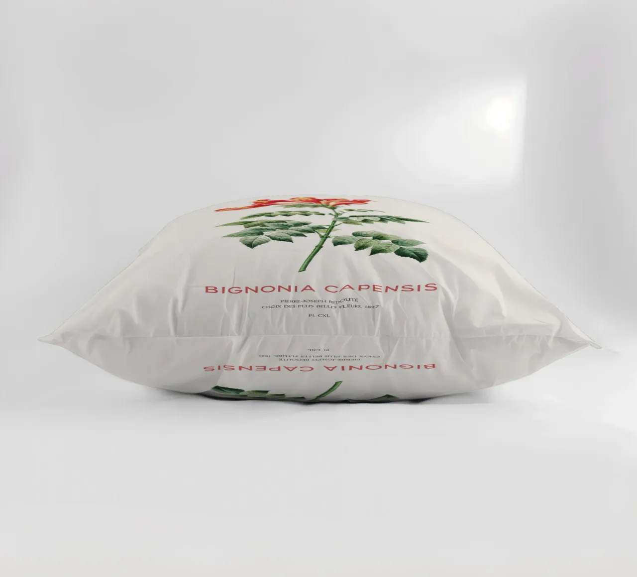 Bignonia Сapensis o fiore di caprifoglio del Capo cuscino da Vintagrafica