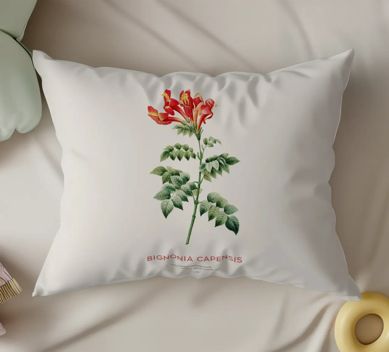 Bignonia Сapensis o fiore di caprifoglio del Capo cuscino da Vintagrafica