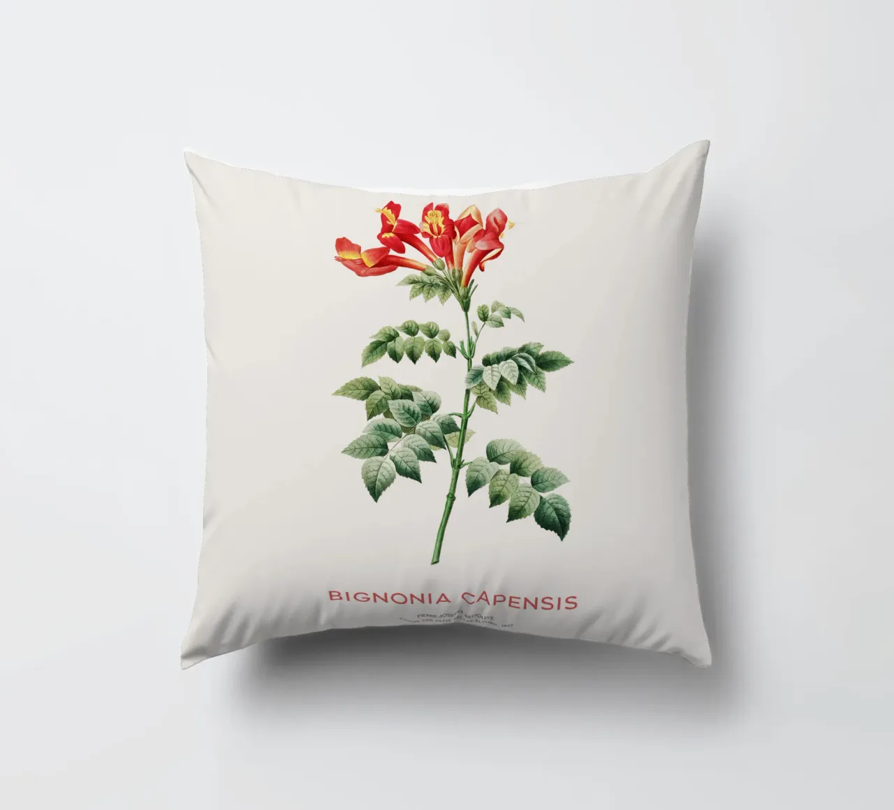 Bignonia Сapensis o fiore di caprifoglio del Capo cuscino da Vintagrafica