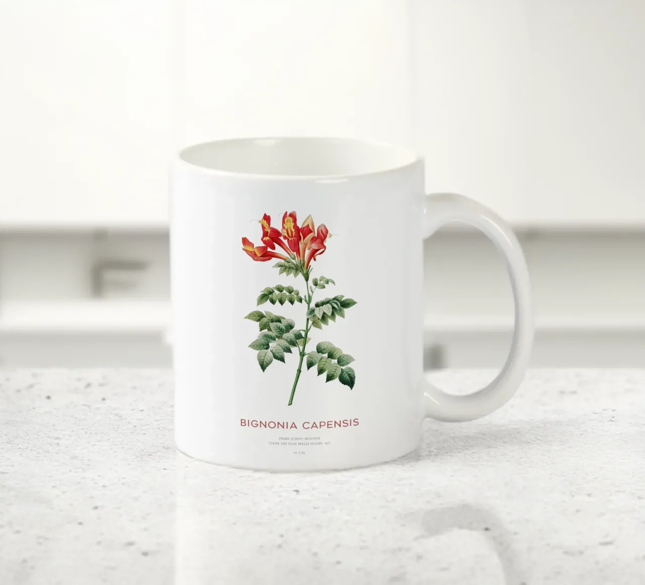 Bignonia Сapensis o fiore di caprifoglio del Capo tazza in ceramica da Vintagrafica