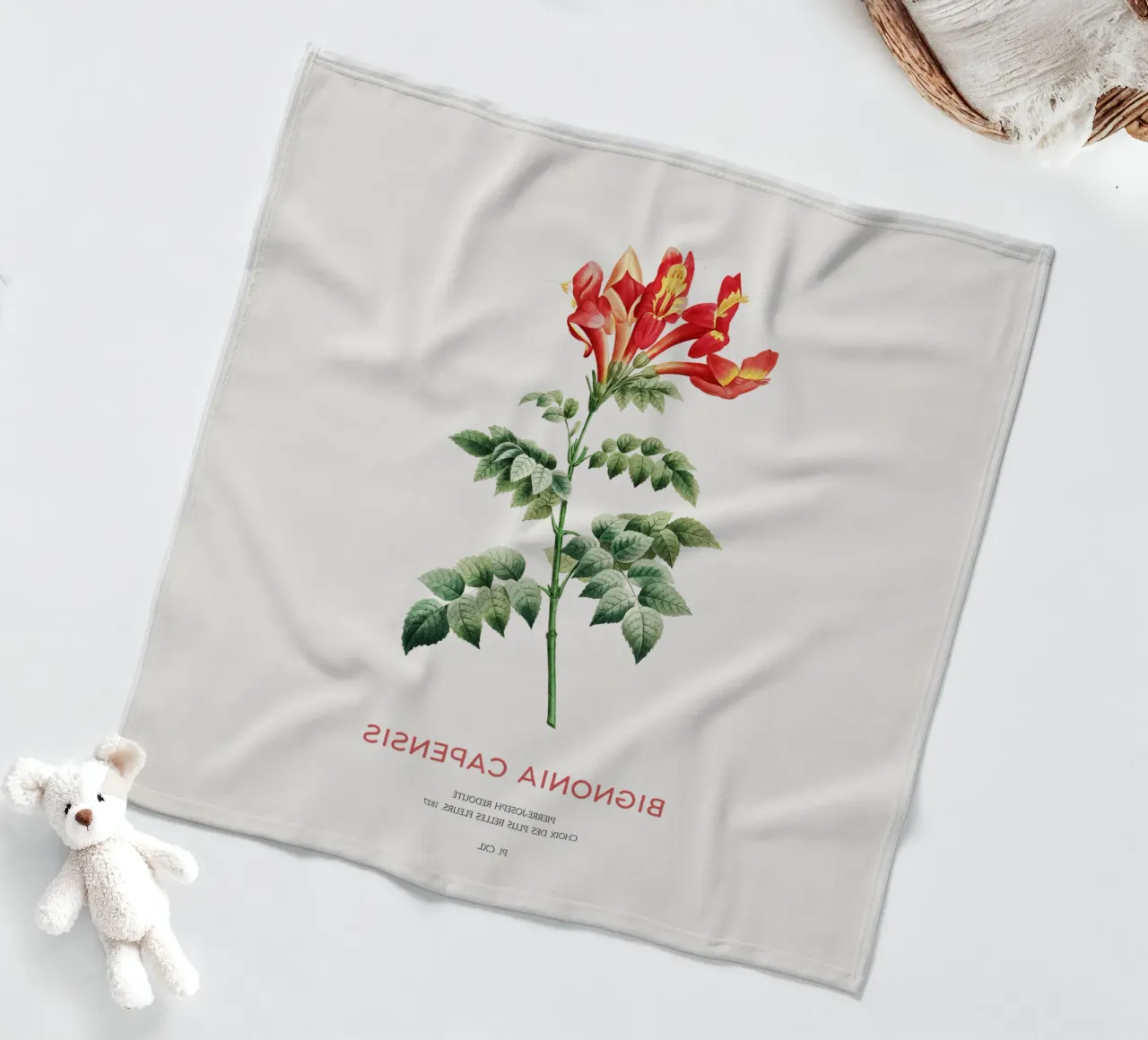 Bignonia Сapensis o fiore di caprifoglio del Capo coperta in pile da Vintagrafica
