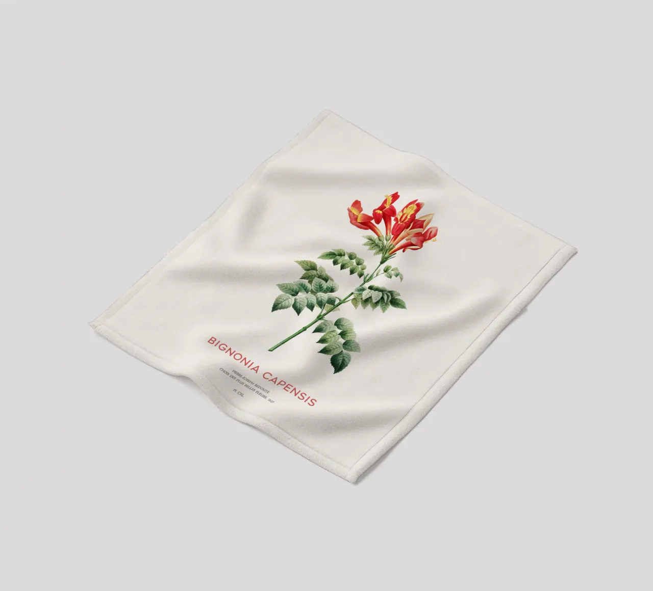 Bignonia Сapensis o fiore di caprifoglio del Capo coperta in pile da Vintagrafica
