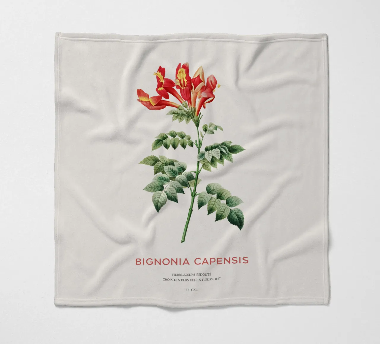 Bignonia Сapensis o fiore di caprifoglio del Capo coperta in pile da Vintagrafica
