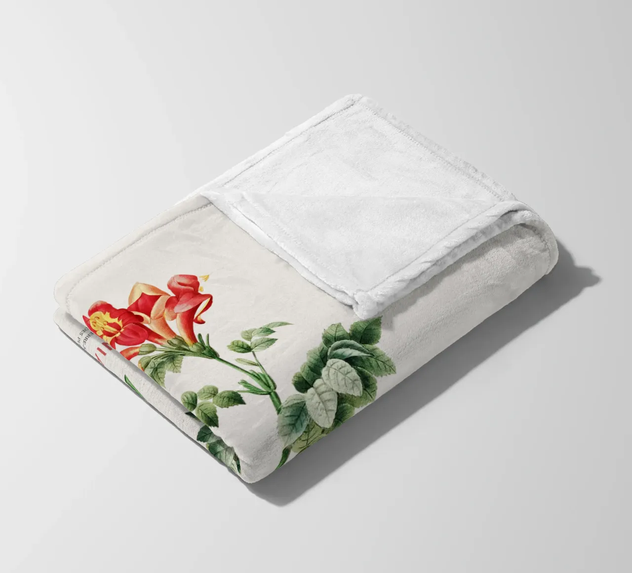 Bignonia Сapensis o fiore di caprifoglio del Capo coperta in pile da Vintagrafica