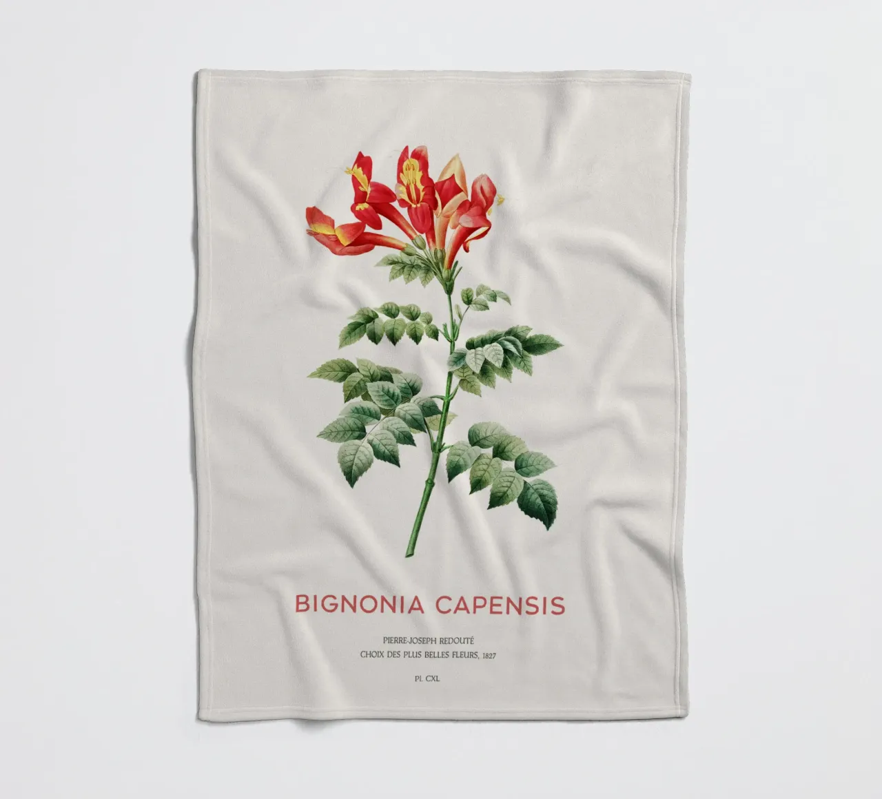 Bignonia Сapensis o fiore di caprifoglio del Capo coperta in pile da Vintagrafica