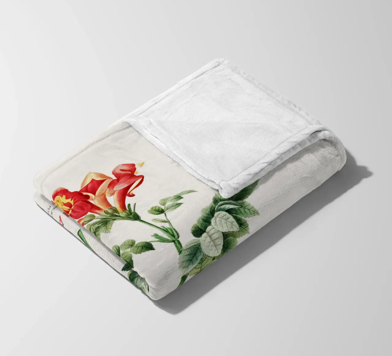 Bignonia Сapensis o fiore di caprifoglio del Capo coperta in pile da Vintagrafica