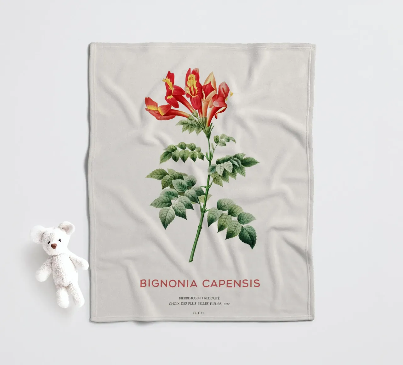 Bignonia Сapensis o fiore di caprifoglio del Capo coperta in pile da Vintagrafica