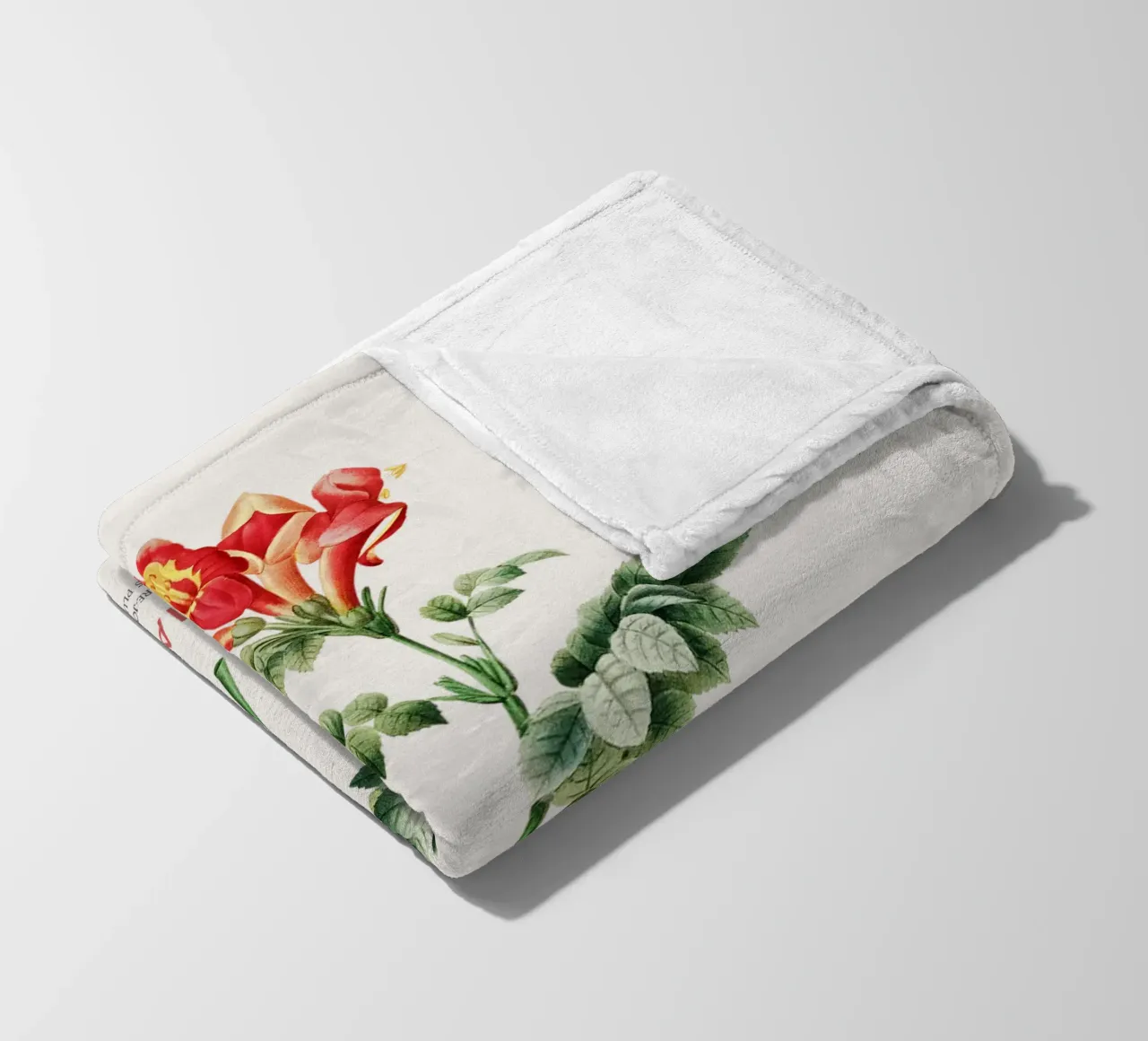 Bignonia Сapensis o fiore di caprifoglio del Capo coperta in pile da Vintagrafica