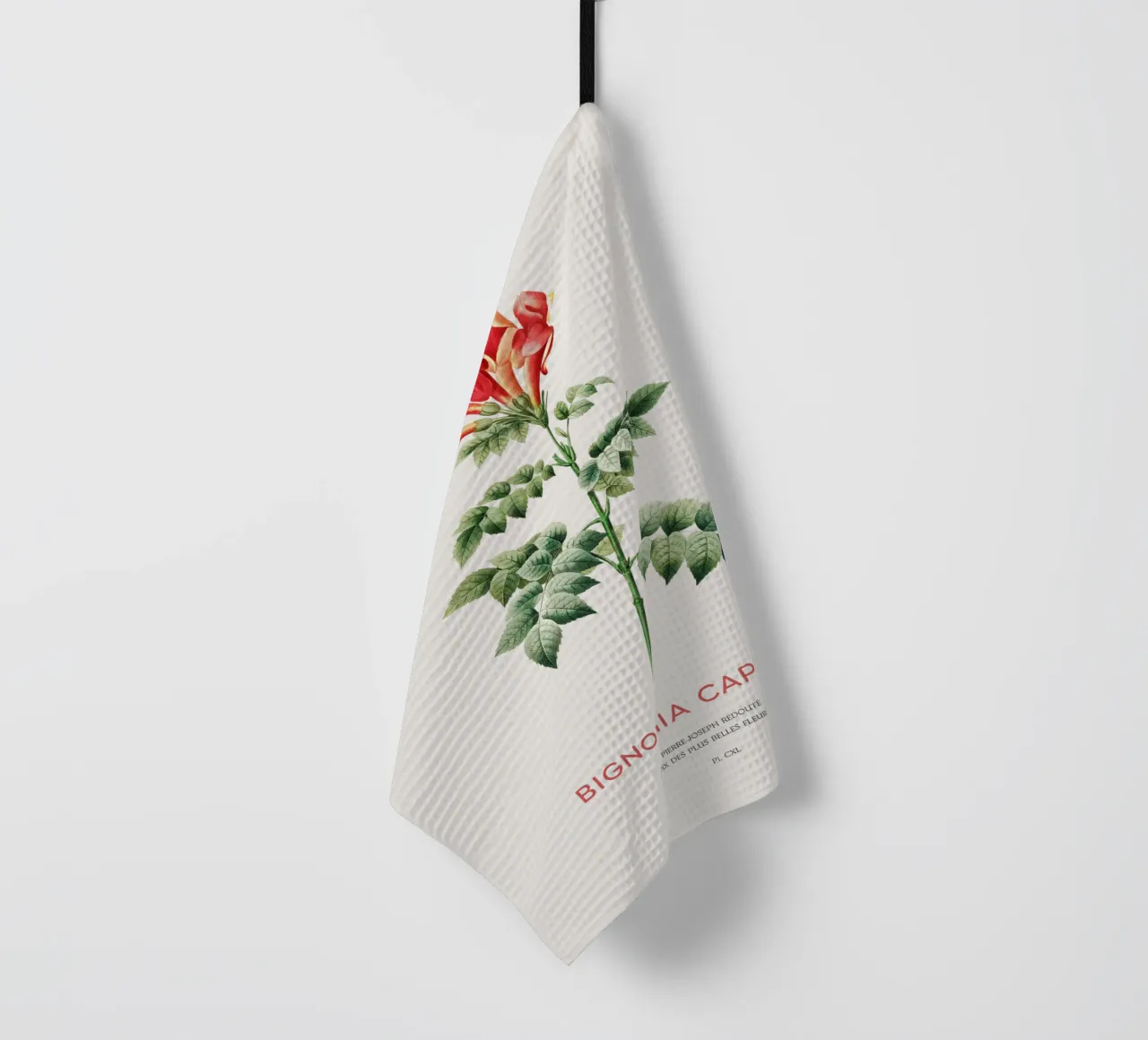 Bignonia Сapensis o fiore di caprifoglio del Capo canovaccio da cucina da Vintagrafica