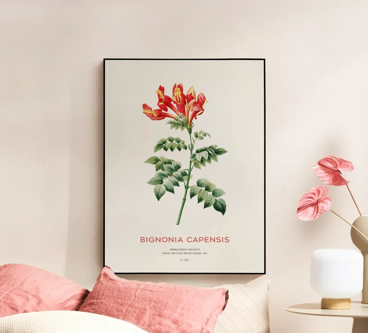 Bignonia Сapensis o fiore di caprifoglio del Capo plexiglass da Vintagrafica