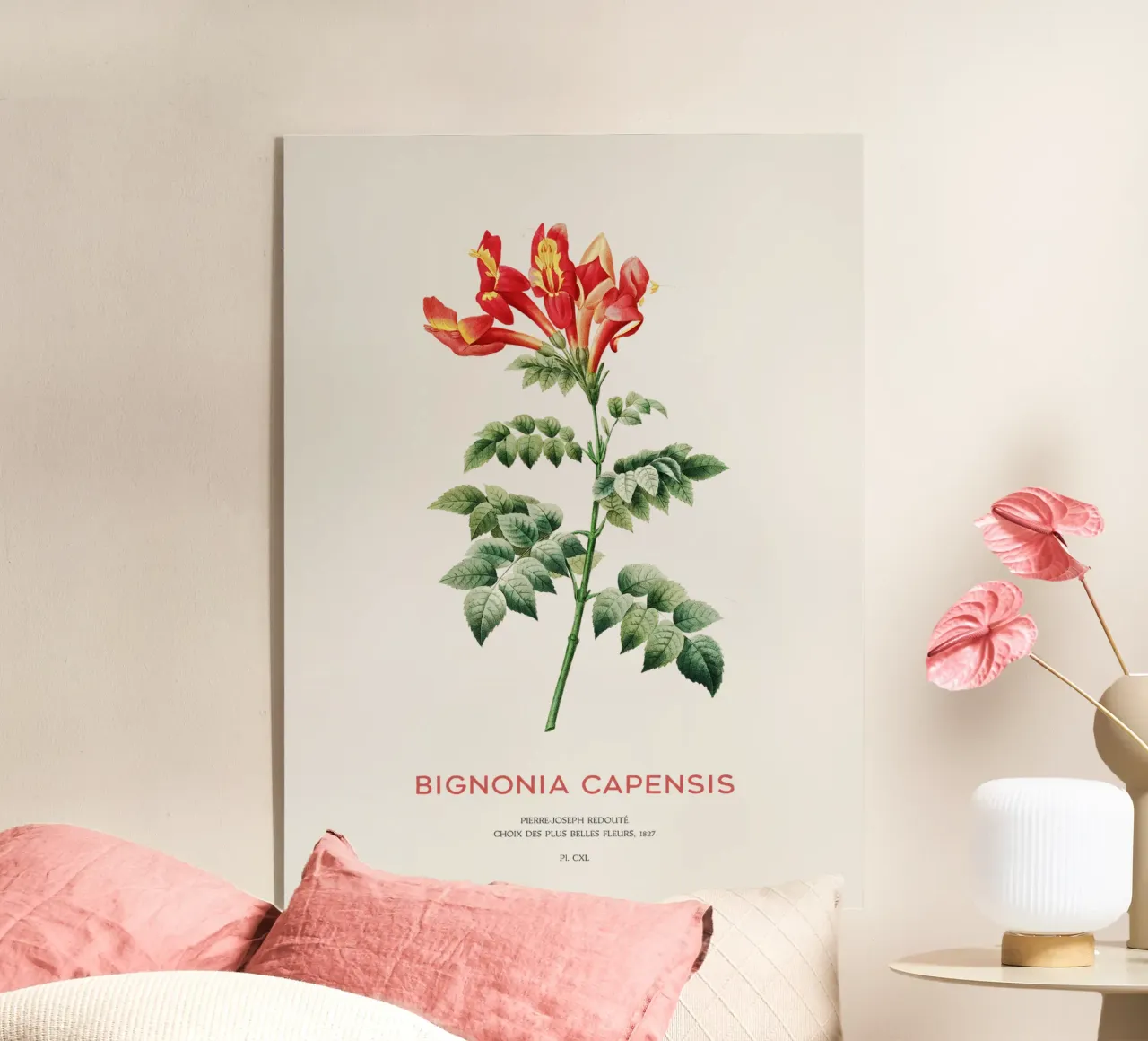 Bignonia Сapensis o fiore di caprifoglio del Capo plexiglass da Vintagrafica