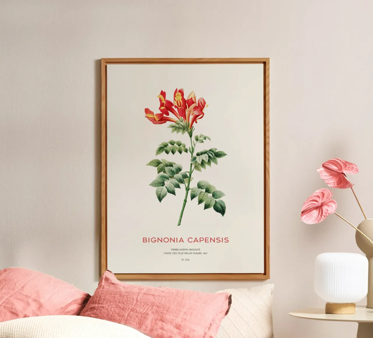 Bignonia Сapensis o fiore di caprifoglio del Capo alluminio dibond da Vintagrafica