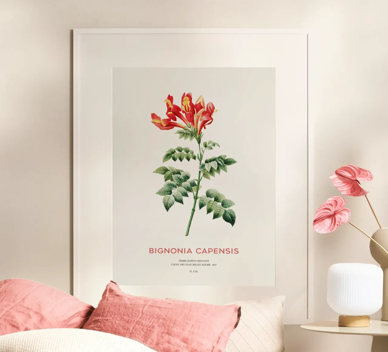 Bignonia Сapensis ou fleur de chèvrefeuille du Cap poster de Vintagrafica