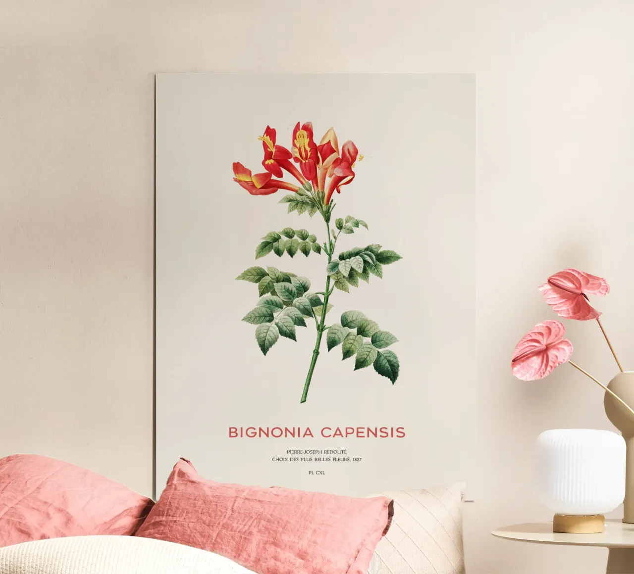 Bignonia Сapensis ou fleur de chèvrefeuille du Cap poster de Vintagrafica