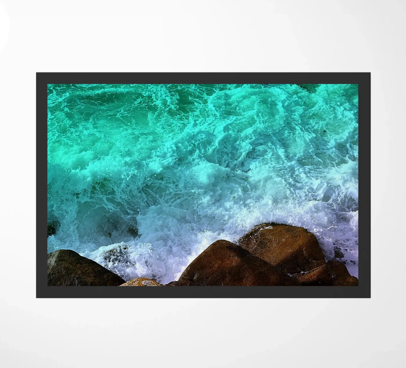 FAA181 zerbino da Thierry vobmann photography