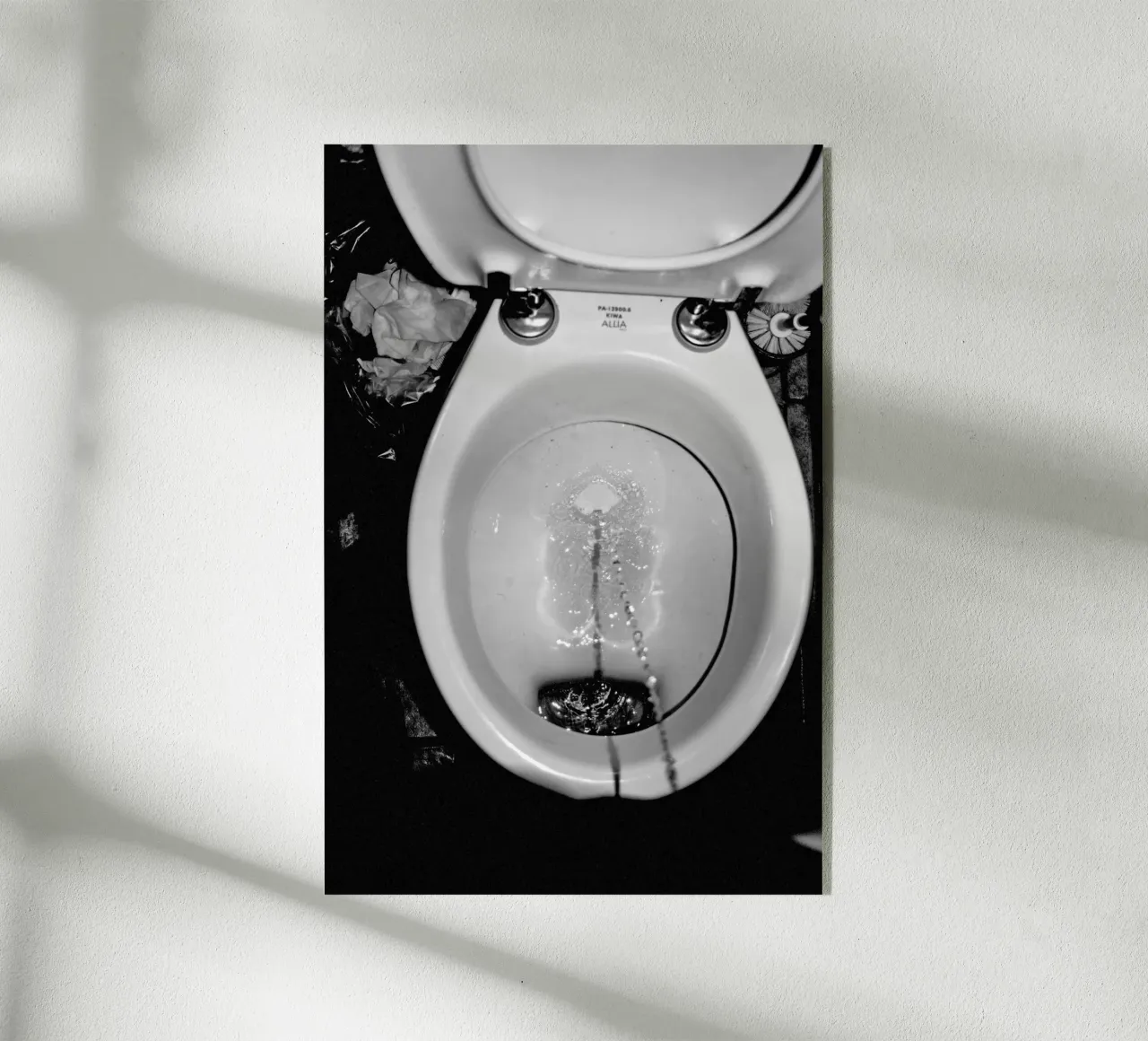 Looking for freedom plexiglass da Hey Vincent