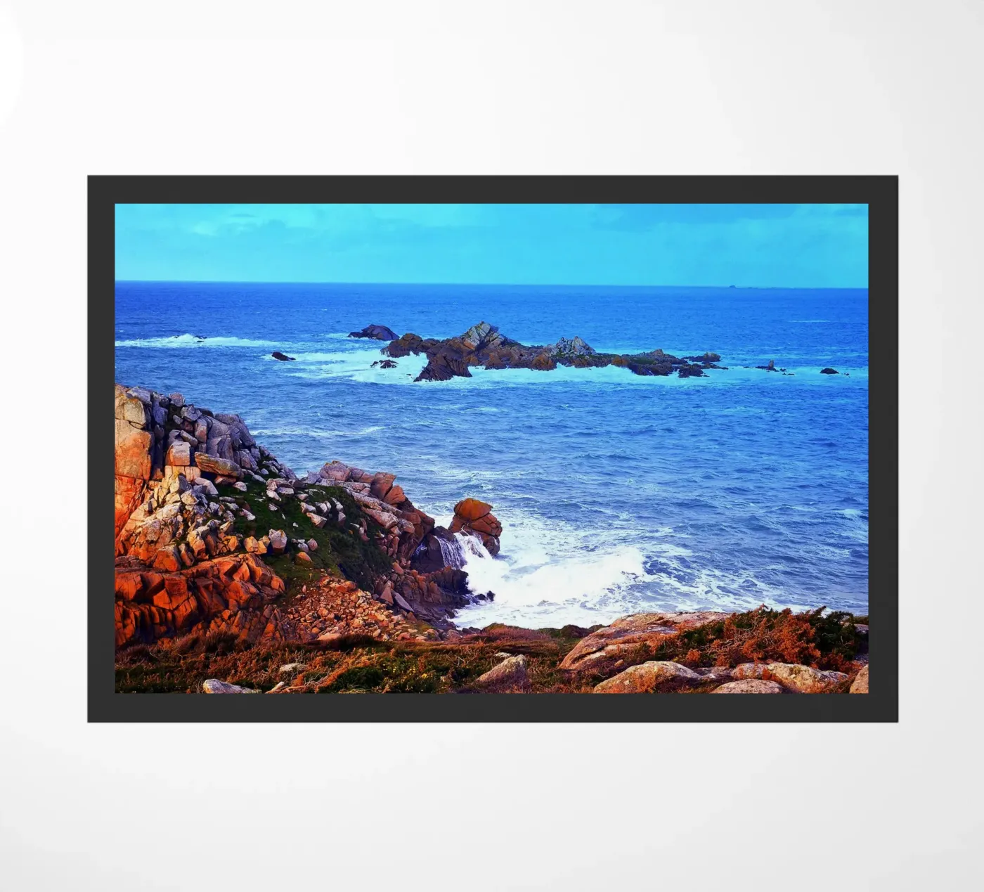 FAA182 zerbino da Thierry vobmann photography