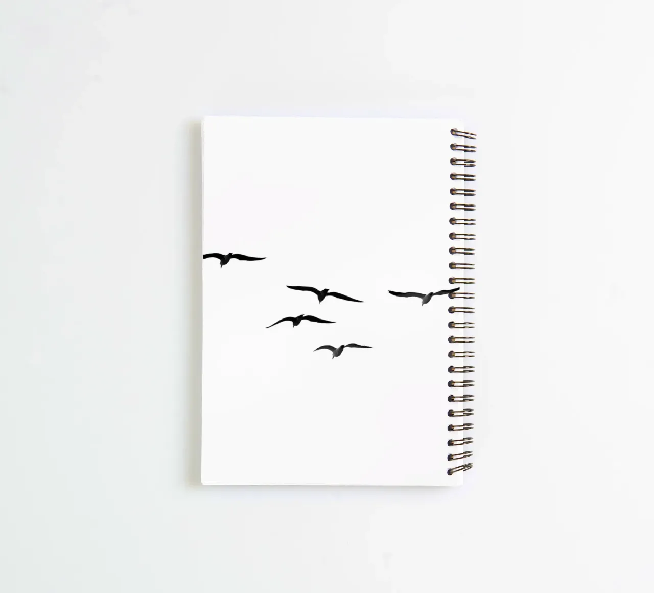 Vögel #2 Ringbuch von rafael campezato