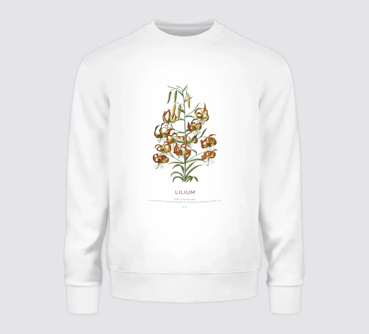 Lilium felpa da Vintagrafica