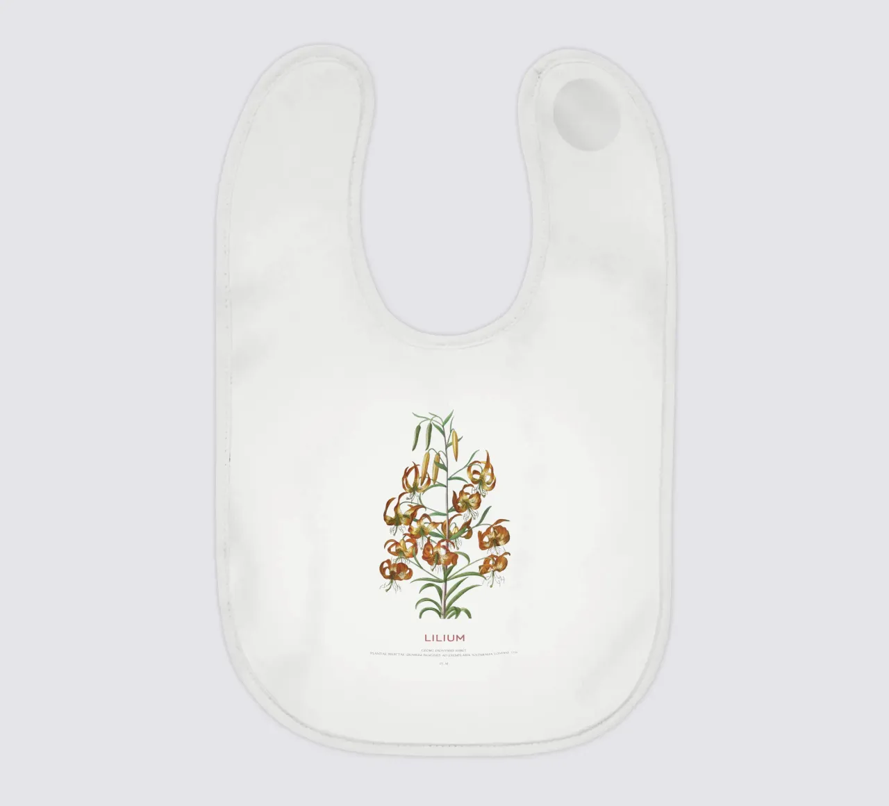 Lilium bavaglino da Vintagrafica