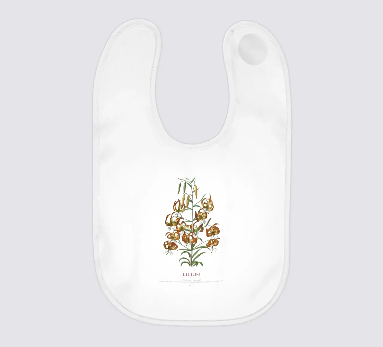 Lilium bavaglino da Vintagrafica