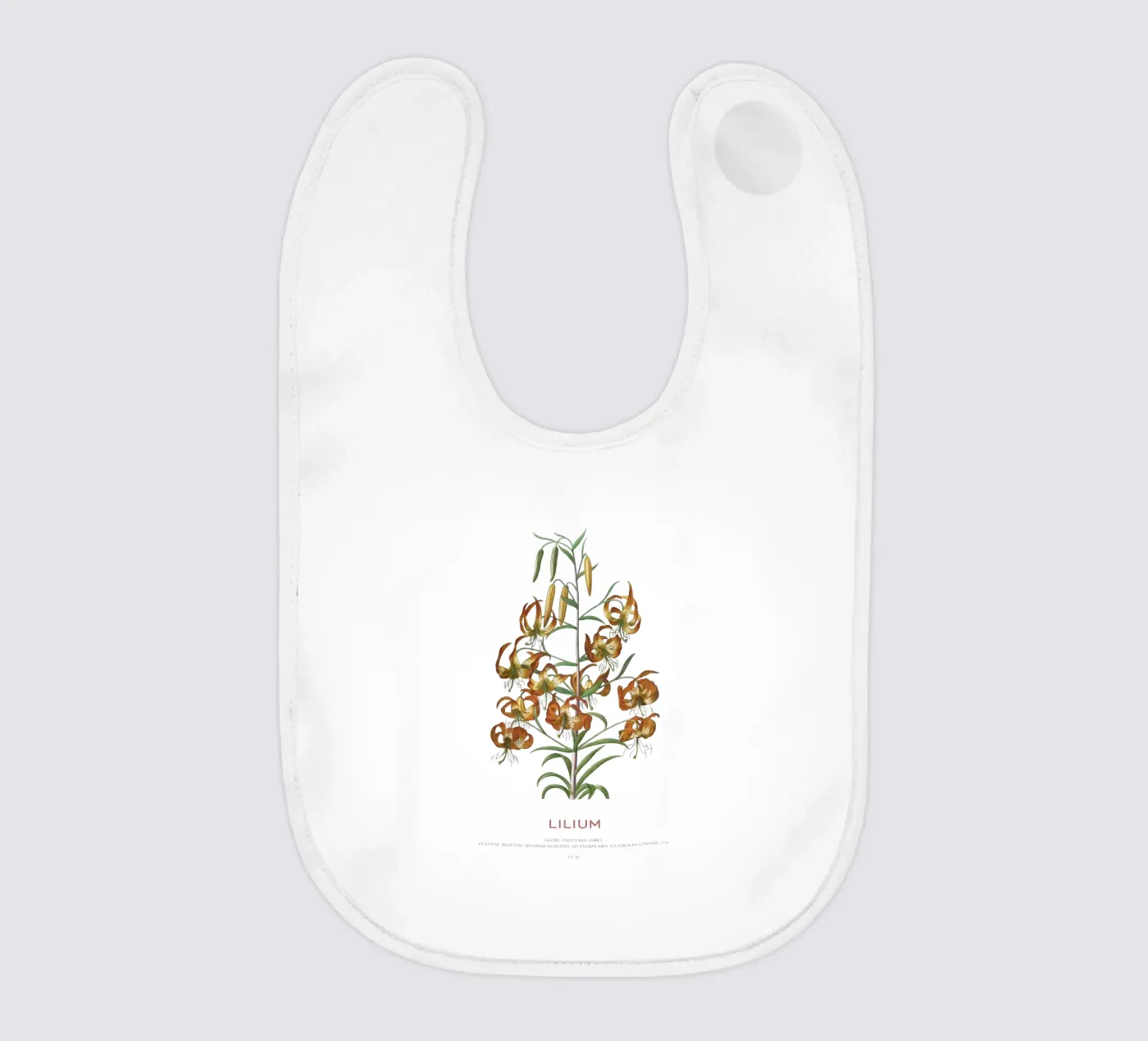 Lilium bavaglino da Vintagrafica