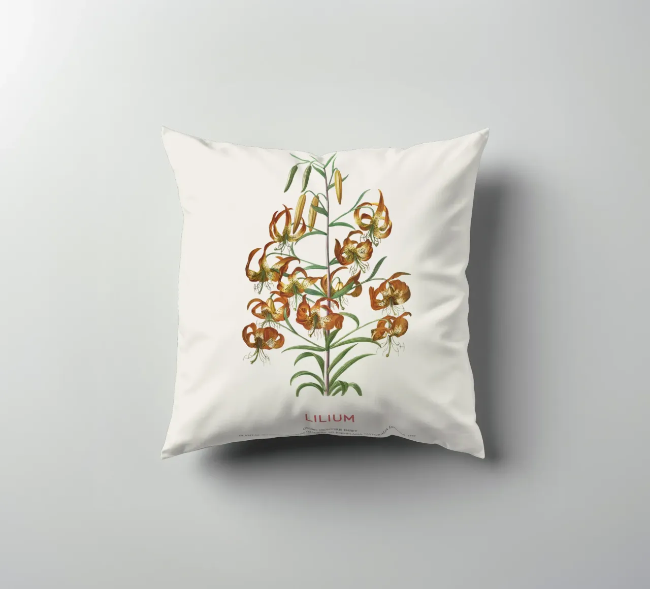 Lilium cuscino da Vintagrafica