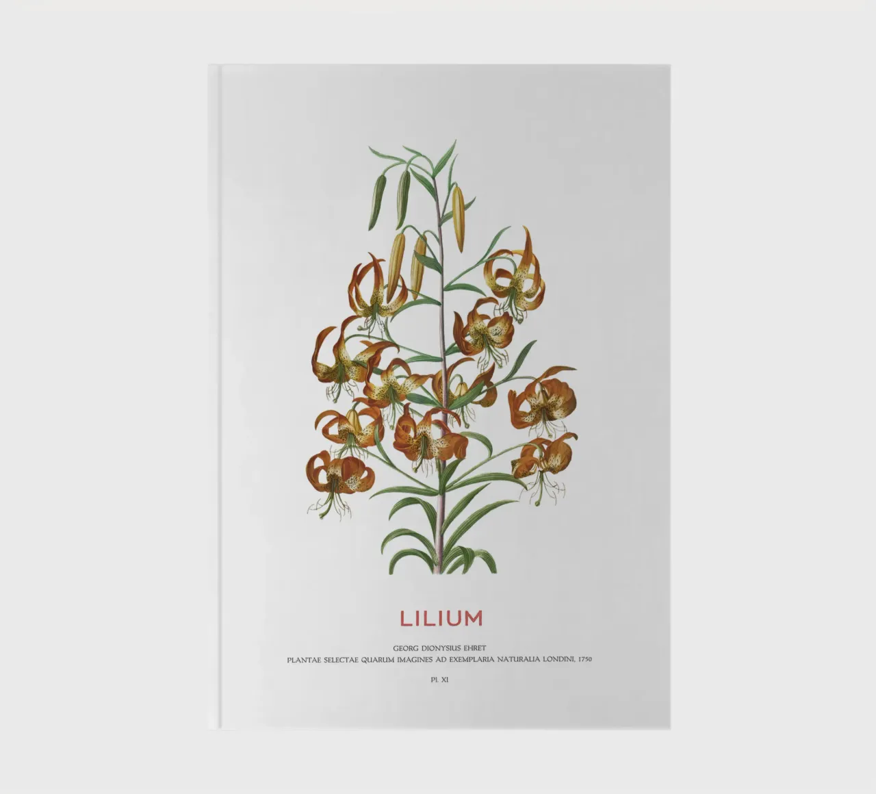 Lilium notebook by Vintagrafica