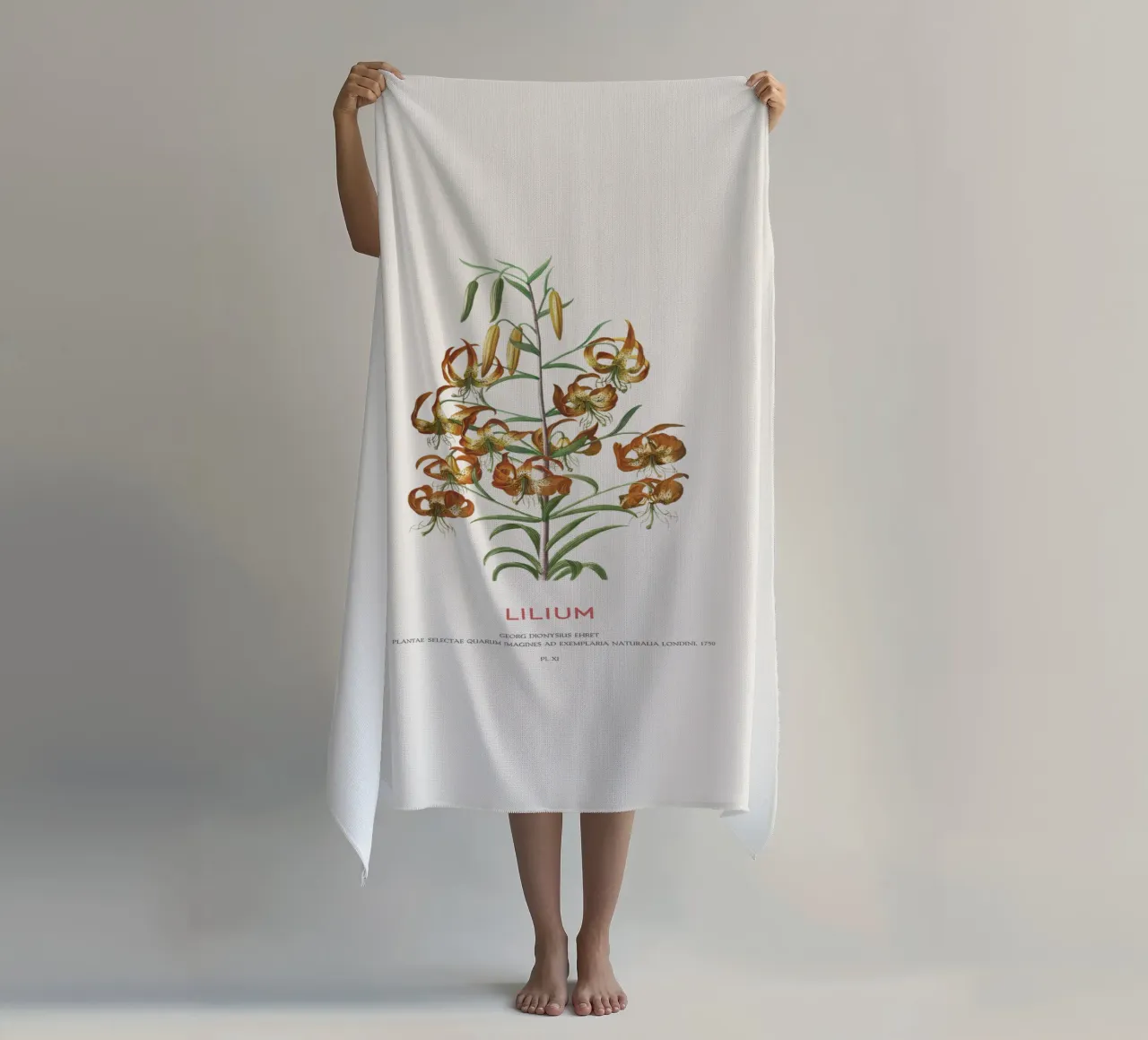 Lilium telo mare da Vintagrafica