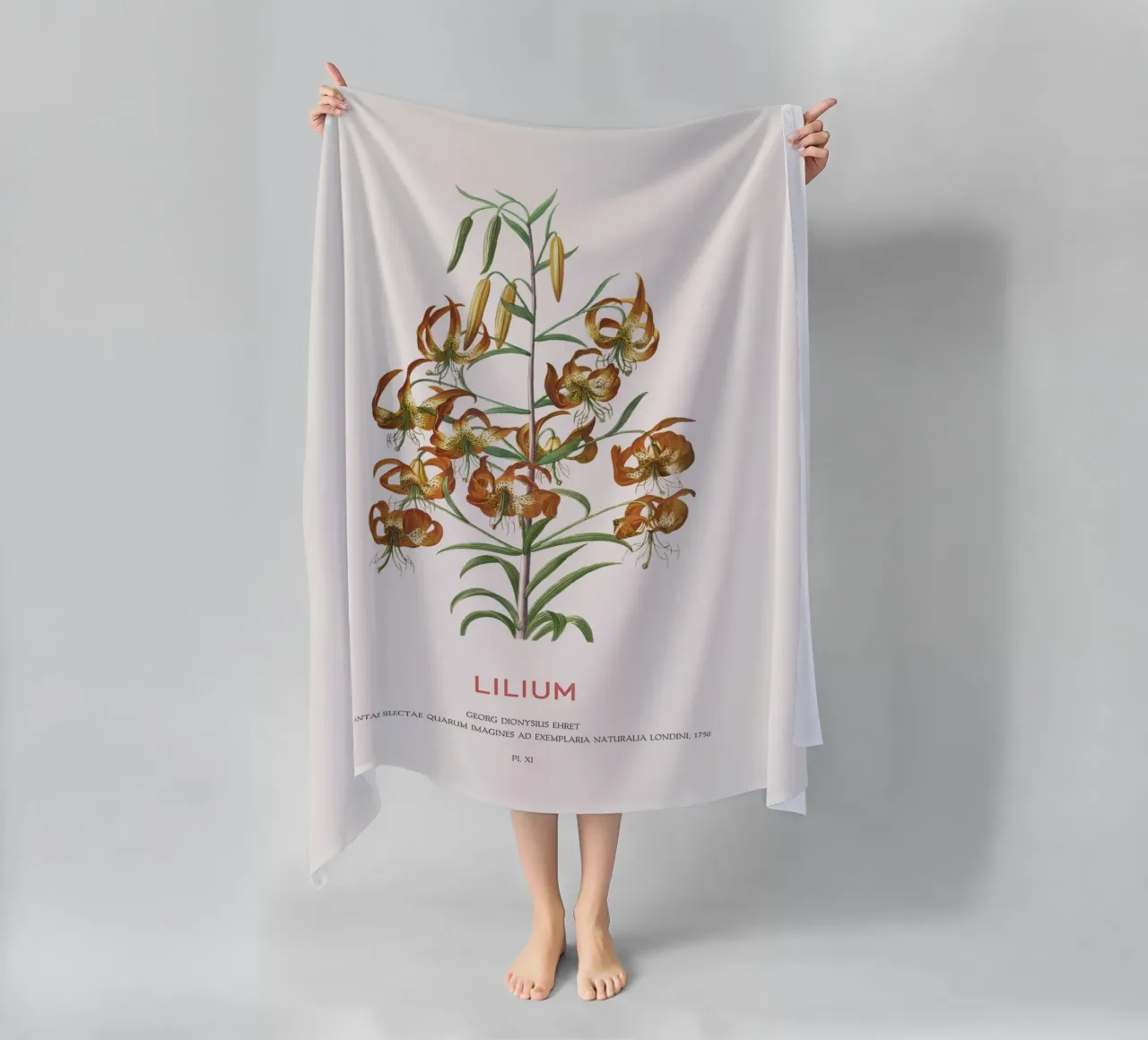 Lilium telo mare da Vintagrafica