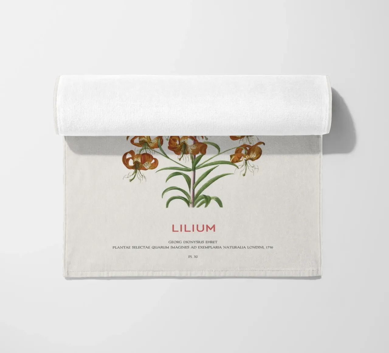Lilium telo mare da Vintagrafica