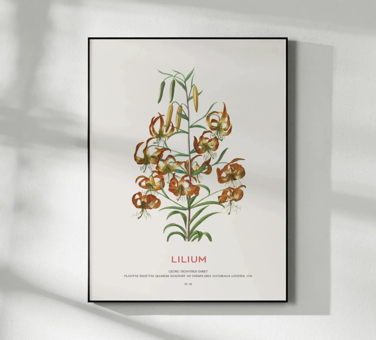 Lelie acryl van Vintagrafica