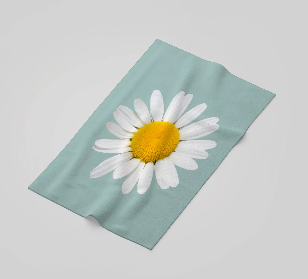 Daisy telo mare da BwiseLizzy