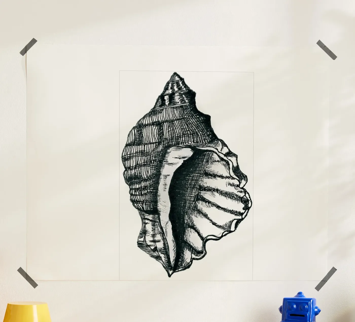 Meeresmuschel poster da naturelines