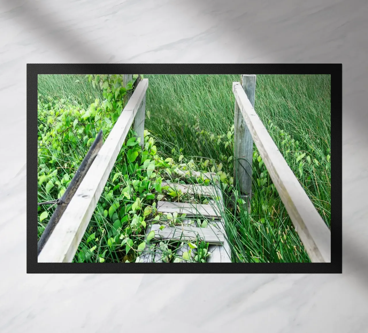 Verde #1 zerbino da rafael campezato