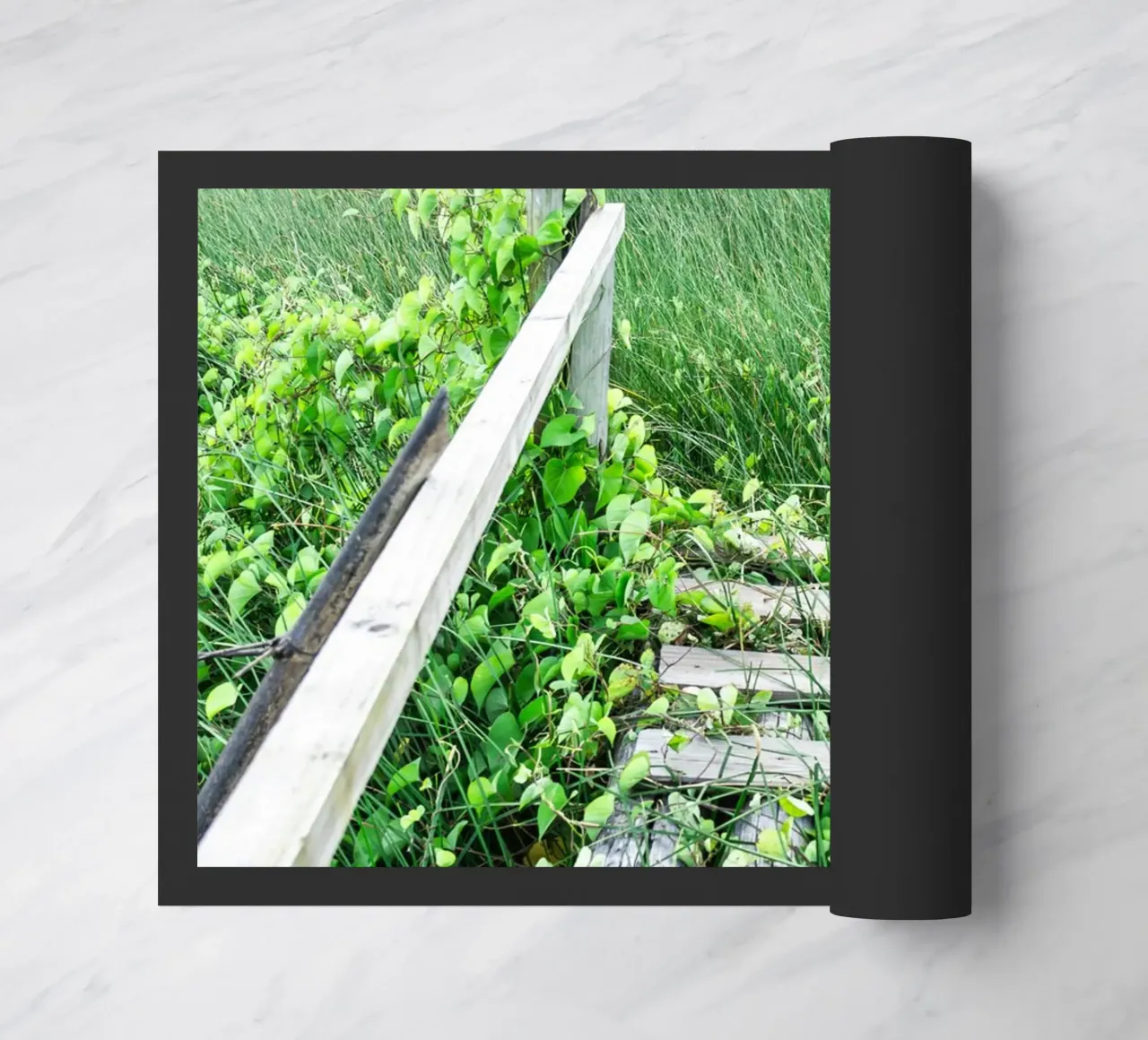 Verde #1 zerbino da rafael campezato