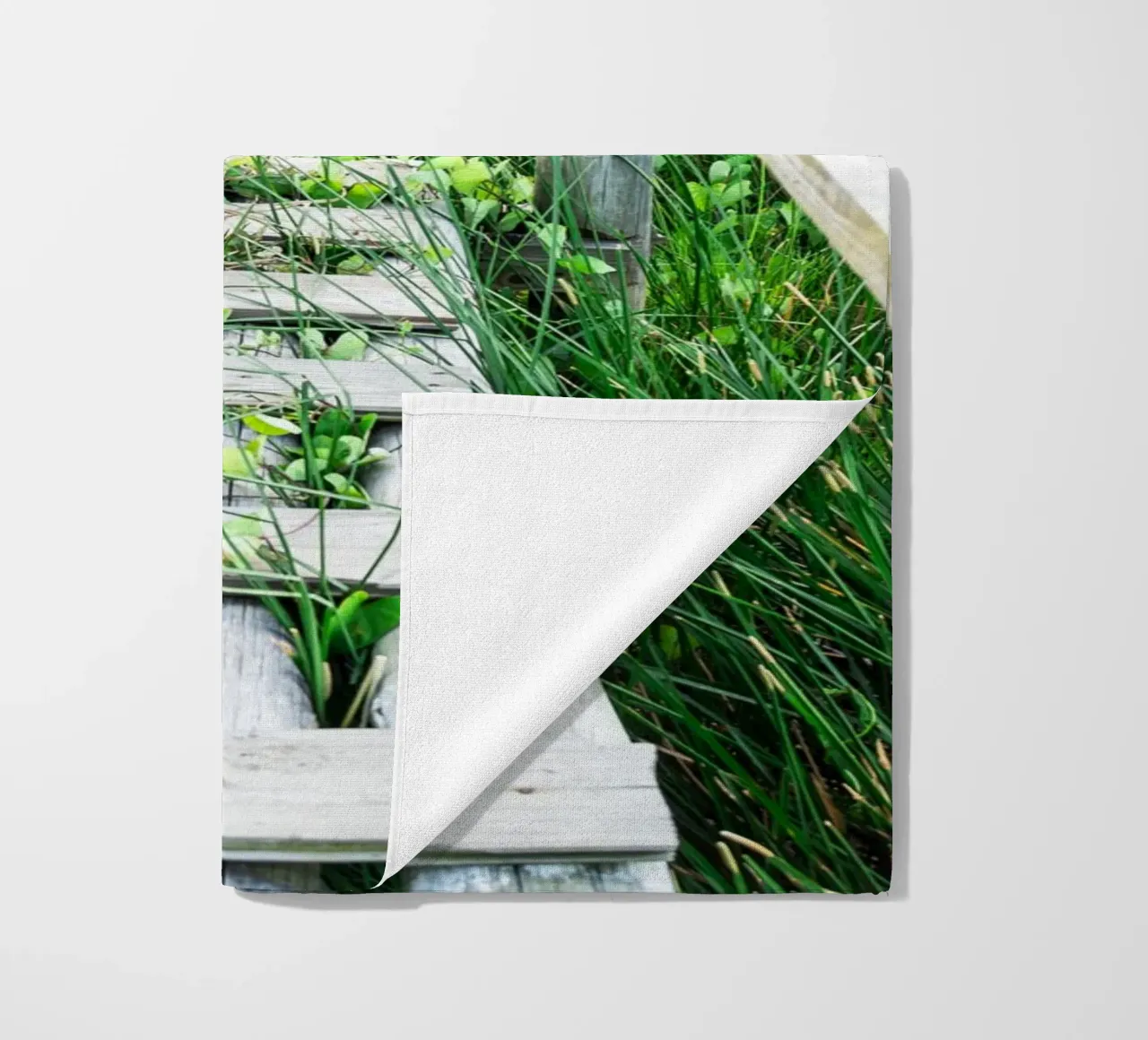 Verde #1 telo mare da rafael campezato