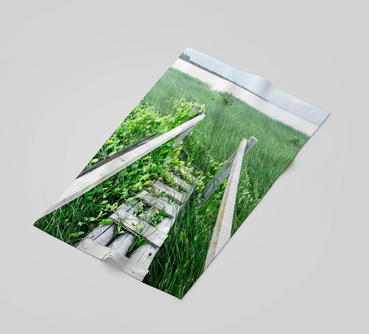 Verde #1 telo mare da rafael campezato