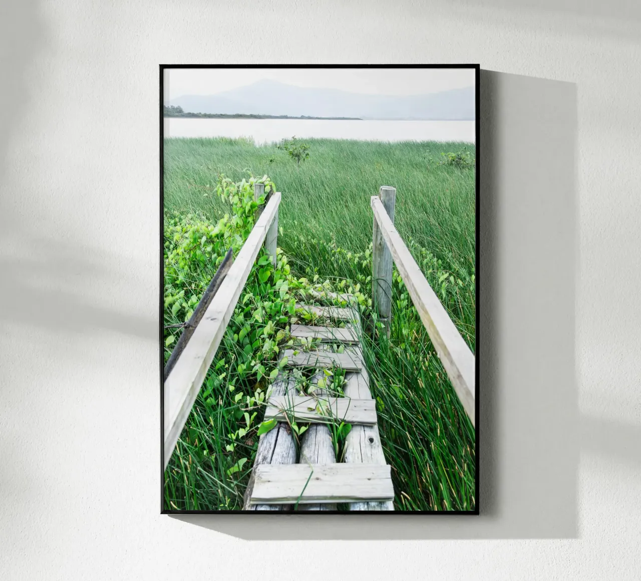 Verde #1 plexiglass da rafael campezato